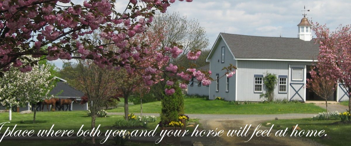 A place where both you and your horse will feel at home