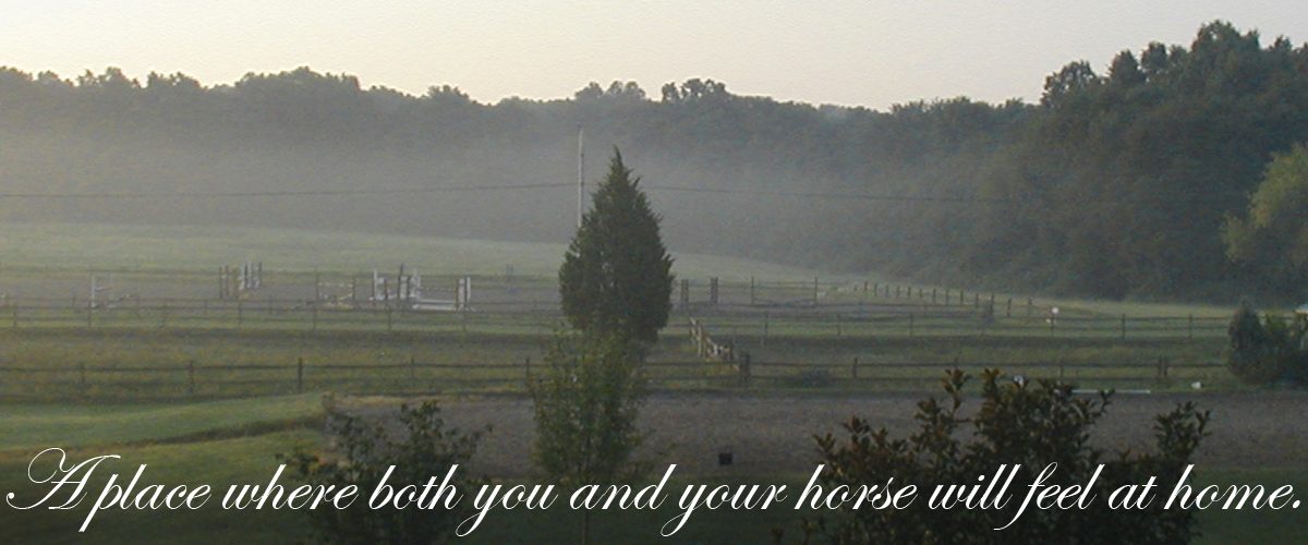 A place where both you and your horse will feel at home